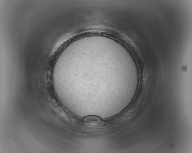 X0000114631352200911101227