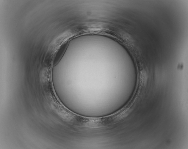 X0000114631353200911101227