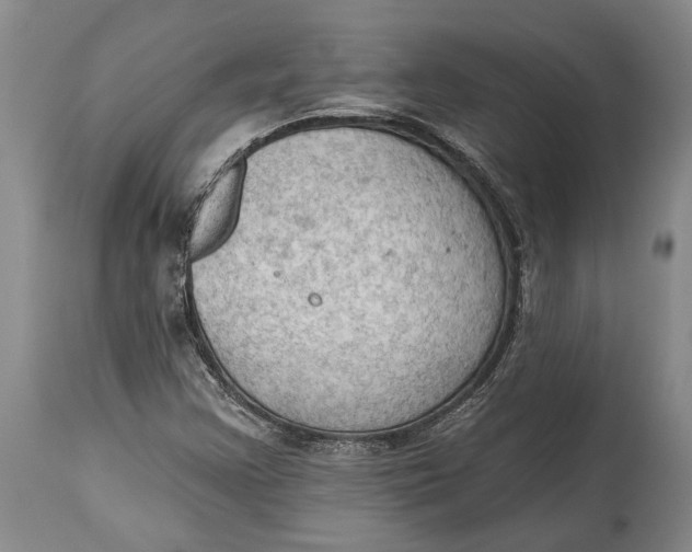 X0000114631355200911101227