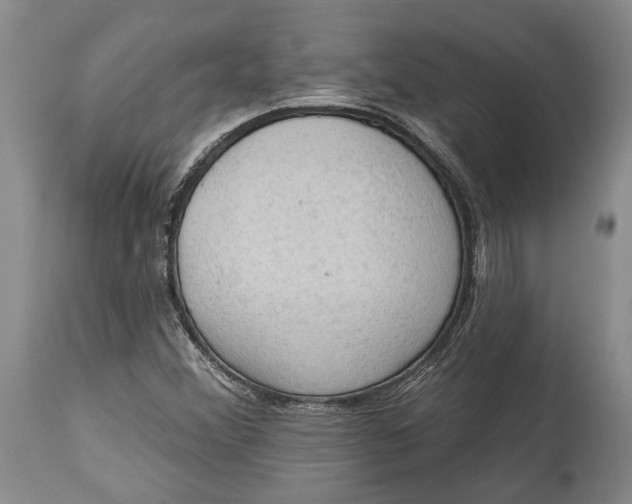 X0000114631356200911101227