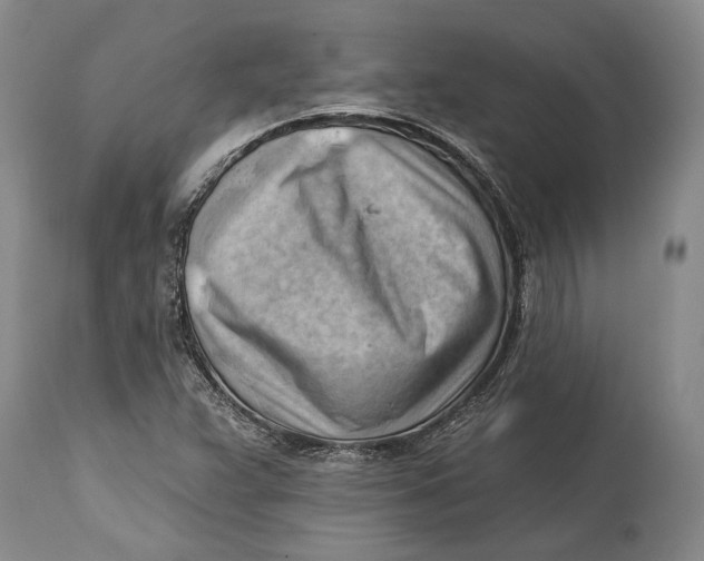 X0000114631359200911101227