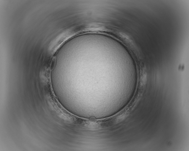 X0000114631361200911101227