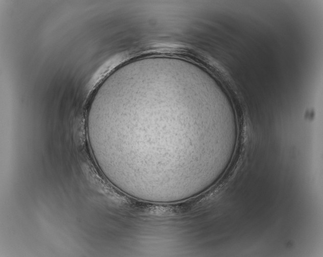 X0000114631362200911101227