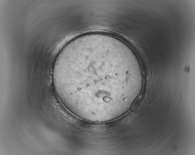 X0000114631363200911101227