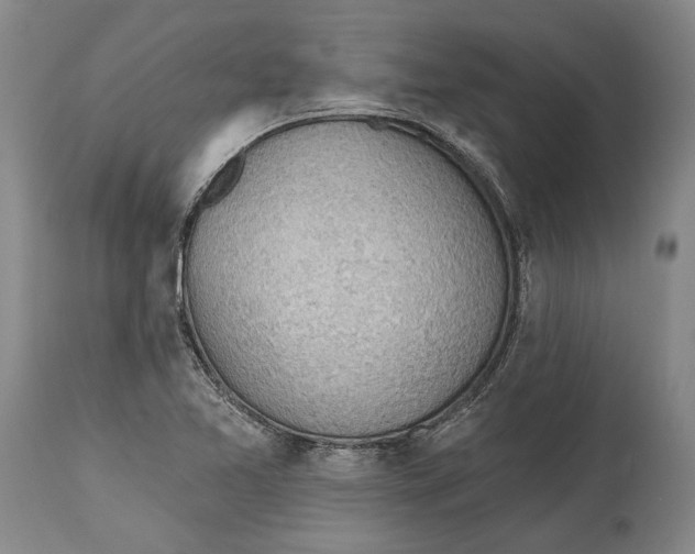 X0000114631365200911101227