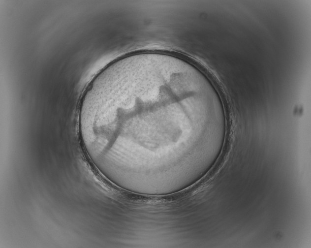 X0000114631367200911101227