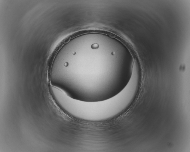 X0000114631368200911101227