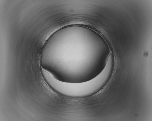 X0000114631369200911101227