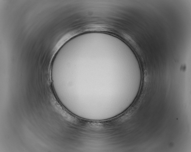 X0000114631370200911101227