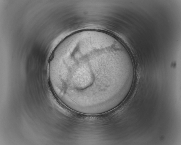 X0000114631371200911101227