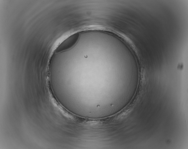 X0000114631373200911101227