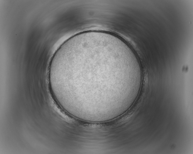 X0000114631375200911101227