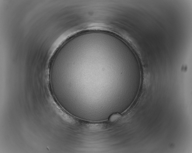 X0000114631376200911101227