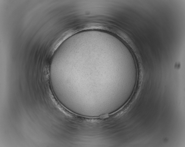 X0000114631377200911101227