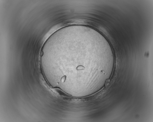 X0000114631378200911101227