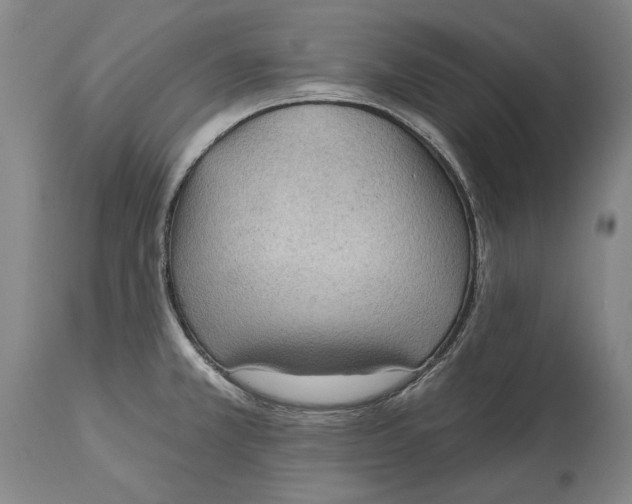 X0000114631381200911101227