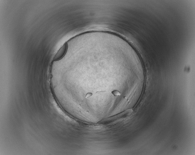 X0000114631382200911101227