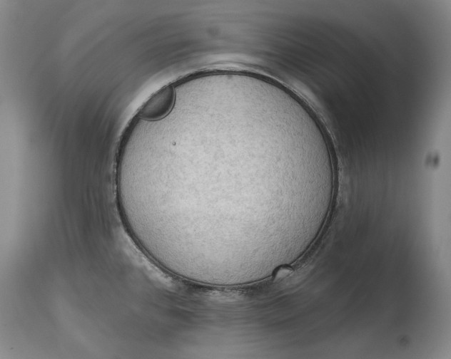 X0000114631384200911101227