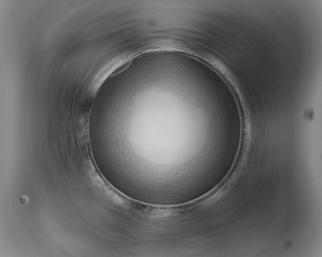 X0000114631385200911101227