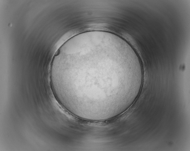 X0000114631386200911101227