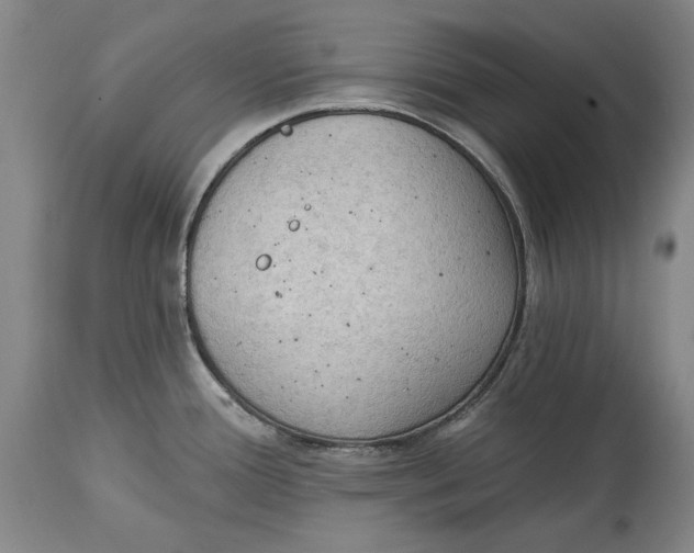 X0000114631388200911101227