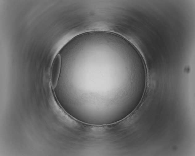 X0000114631389200911101227