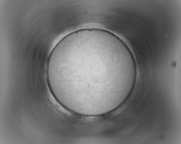 X0000114631390200911101227