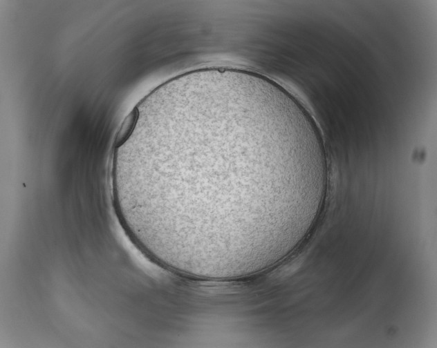 X0000114631391200911101227