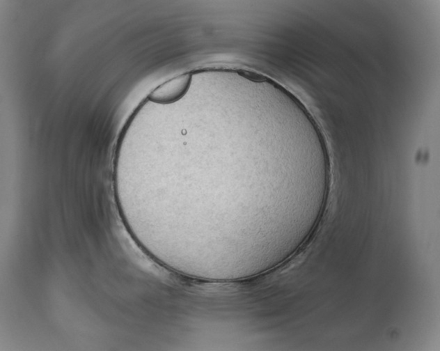 X0000114631392200911101227