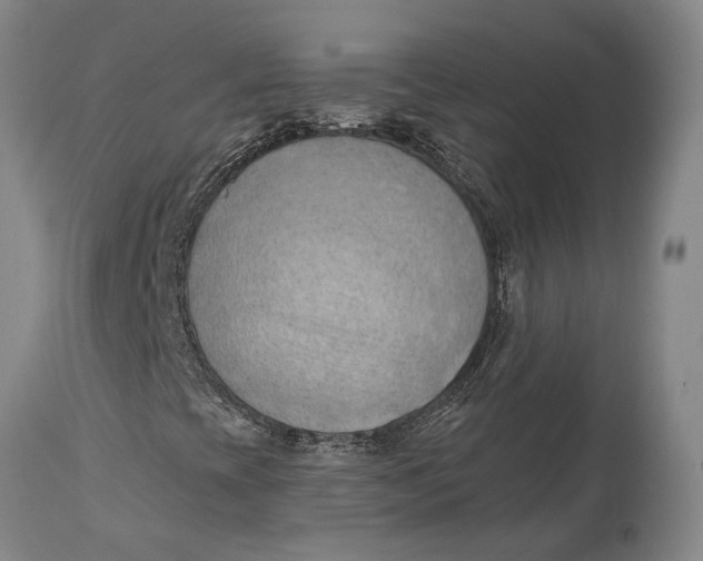 X0000114631393200911101226