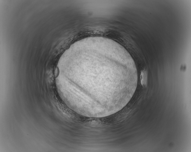 X0000114631395200911101226