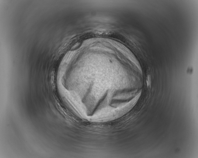 X0000114631396200911101226