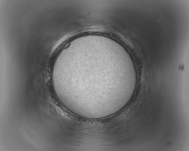 X0000114631400200911101226