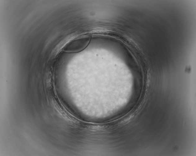 X0000114631401200911101226