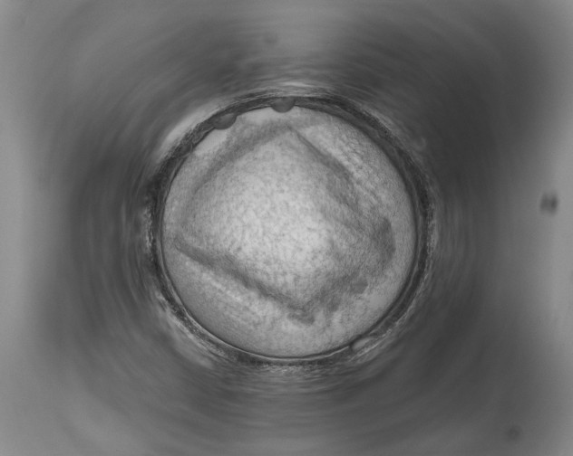 X0000114631402200911101226