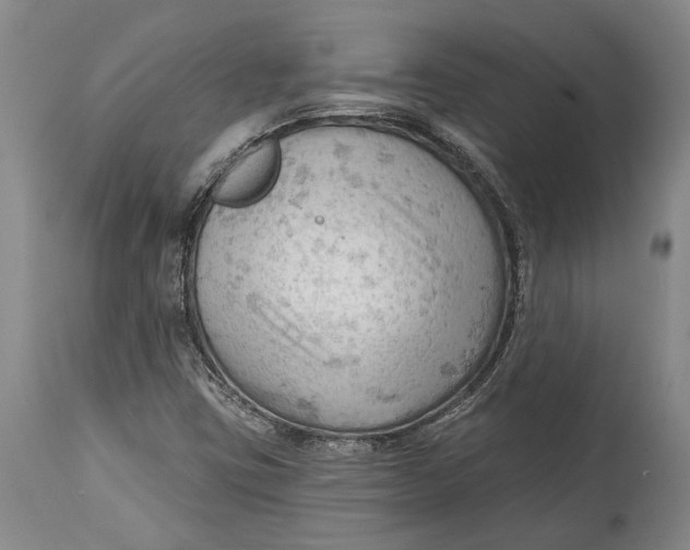 X0000114631403200911101226