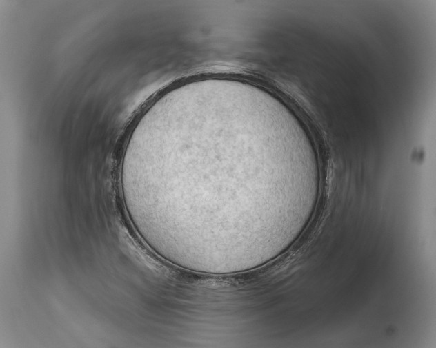 X0000114631404200911101226