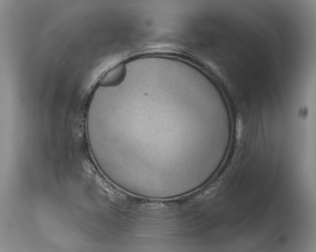 X0000114631405200911101226