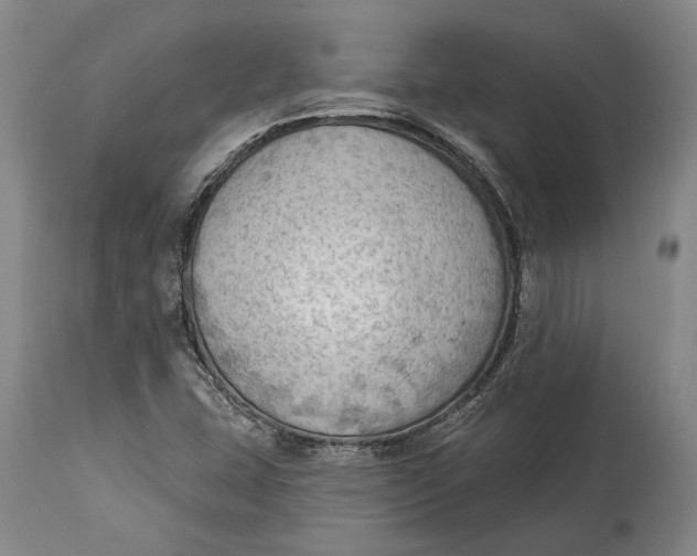 X0000114631407200911101226