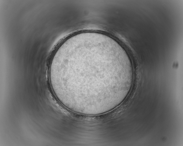 X0000114631408200911101226