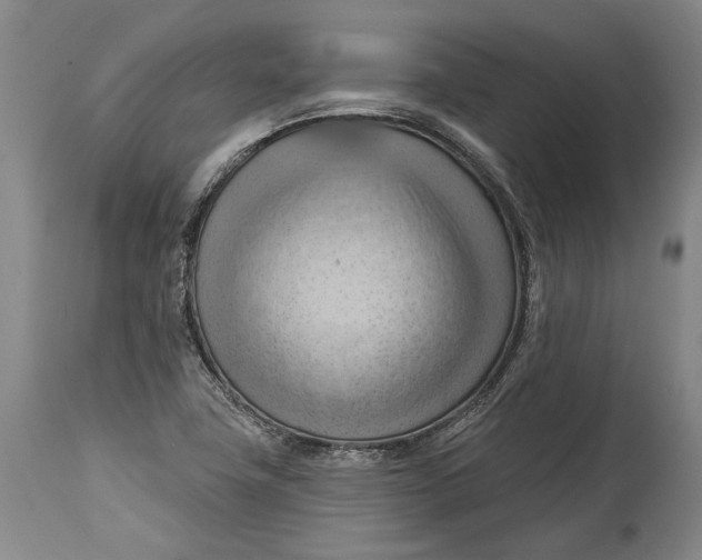 X0000114631411200911101226