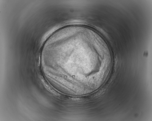 X0000114631413200911101226