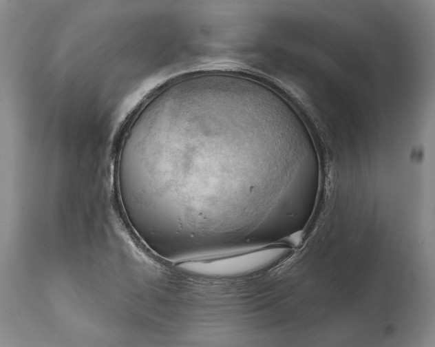 X0000114631414200911101226