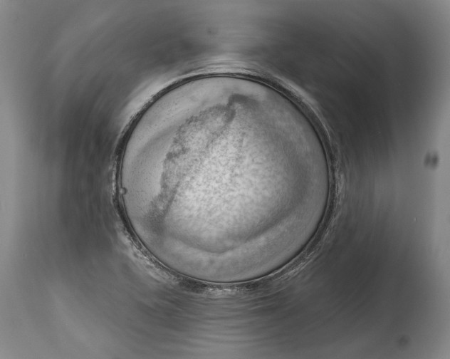 X0000114631415200911101226