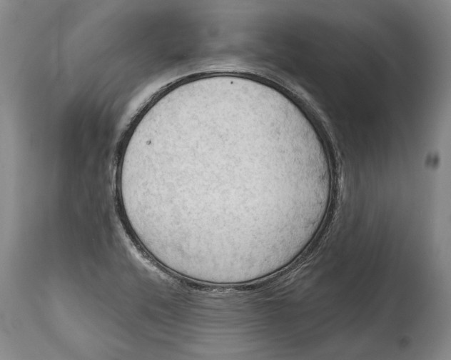 X0000114631416200911101226