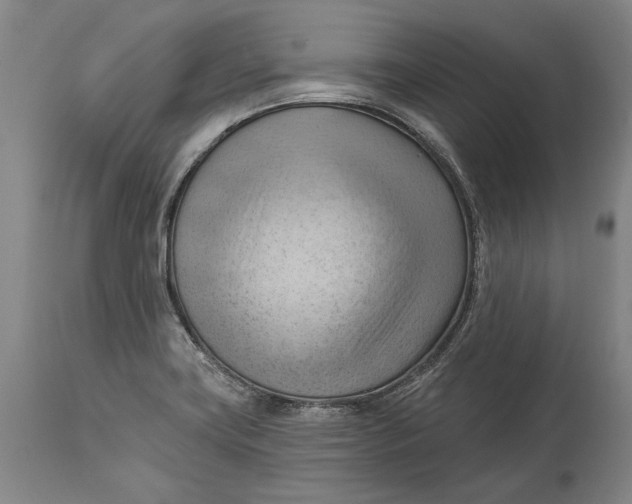 X0000114631419200911101226