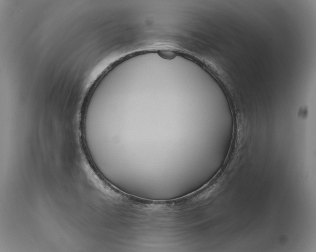 X0000114631422200911101226