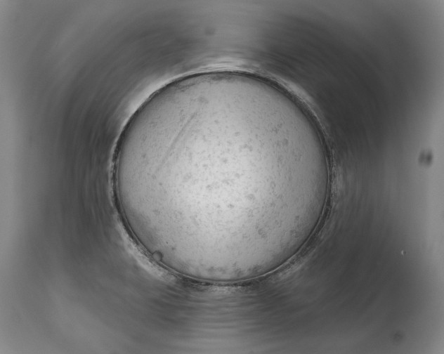 X0000114631423200911101226