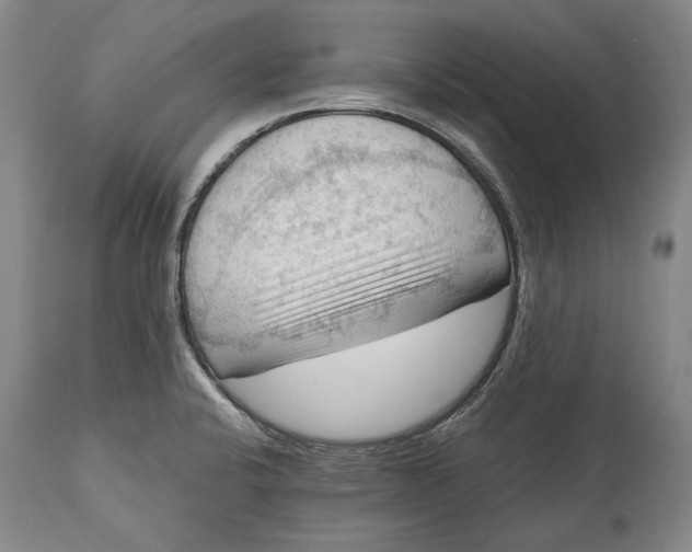 X0000114631424200911101226