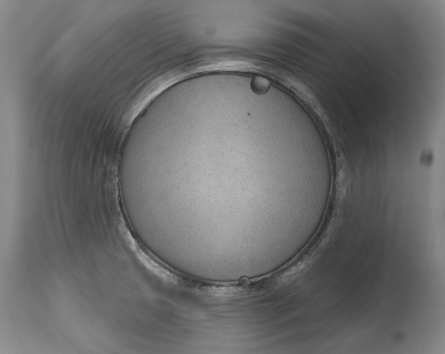 X0000114631425200911101226